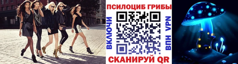 Псилоцибиновые грибы мицелий  Красный Сулин 